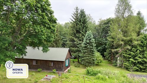 działka na sprzedaż 74900m2 działka Dziewięcierz