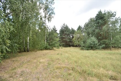 działka na sprzedaż 14800m2 działka Rembów