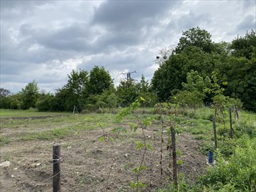 działka na sprzedaż 695m2 działka Wrocław, Wrocław-Krzyki, Wrocław-Krzyki, al. Róż