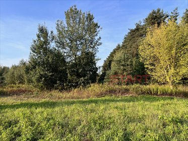 Urokliwa działka z lasem i dużą rolą, 28 400 m2 działka Nosy