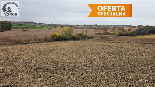 działka na sprzedaż 6800m2 działka Karwin