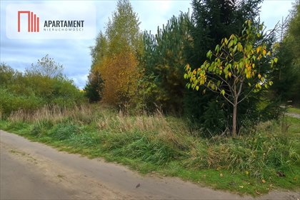Na sprzedaż działka 3039 m² z lasem i jeziorem w Siwiałce działka Siwiałka