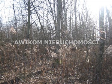 działka na sprzedaż 5830m2 działka Milanówek, Milanówek