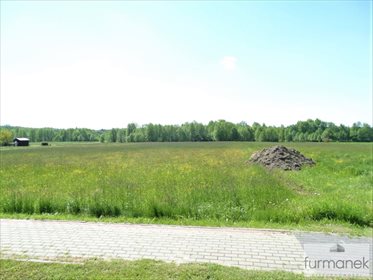 Działka budowlana na sprzedaż Luchów Górny 7 600m2 Foto 2