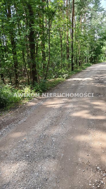 Działka 11500 m² z drogą, lasami i mediami. działka Siestrzeń