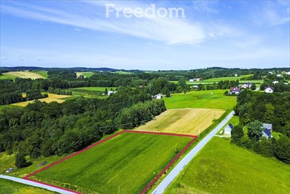 działka na sprzedaż 4936m2 działka Jawornik-Przedmieście