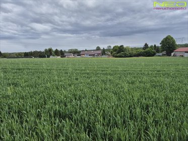 Działka 4470 m² w Opatowie - idealna pod inwestycję działka Opatów