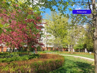 Dwupokojowe mieszkanie z balkonem i widokiem na centrum mieszkanie Warszawa, Śródmieście, Śródmieście Północne, Aleja