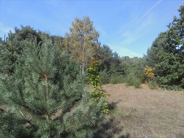 działka na sprzedaż 1197m2 działka Warszawa, Wesoła