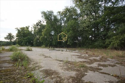 działka na sprzedaż 28670m2 działka Wojnowo