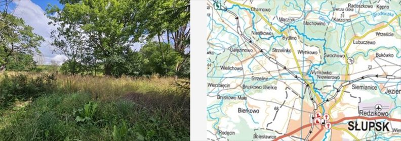 działka na sprzedaż 3608m2 działka Redęcin