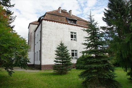 Lokal użytkowy na sprzedaż Pieniężno, Szkolna 2 416m2 Foto 5