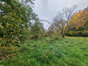 działka na sprzedaż 5266m2 działka Łódź, Polesie, 1 Korpusu Pancernego WP