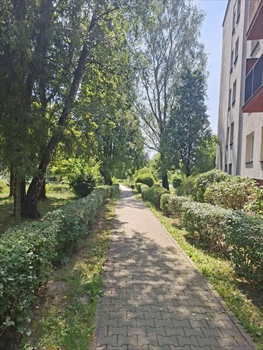Mieszkanie 65 m² w Krakowie - 4 pokoje, loggia, po remoncie mieszkanie Kraków, Nowa Huta, 1000-Lecia
