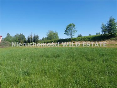 działka na sprzedaż 7328m2 działka Solina, Myczków