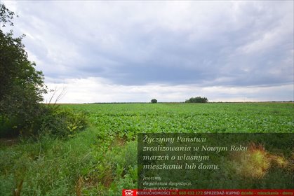 działka na sprzedaż 6000m2 działka Osmolice Pierwsze