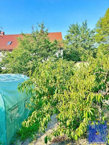 Dom na sprzedaż Gliwice, Szobiszowice, toszecka 62 240m2 Foto 4