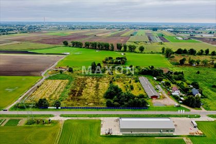 Działka przemysłowo-handlowa na sprzedaż Pilaszków 31 204m2 Foto 3