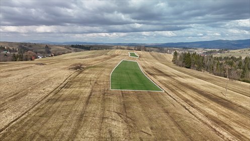 Działka rolna 7099 m² w Groniu bez drogi dojazdowej działka Groń