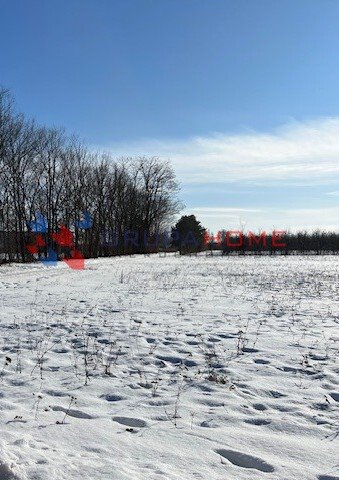 działka na sprzedaż 3982m2 działka Prażmów