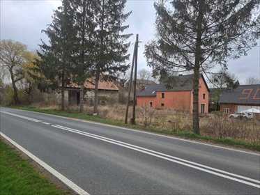 działka na sprzedaż 4200m2 działka Niedźwiednik