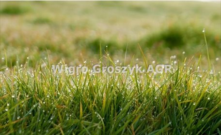 działka na sprzedaż 788m2 działka Smoszewo