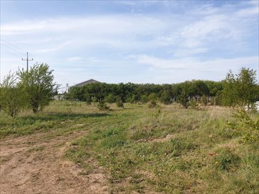 Działka budowlana na sprzedaż Skrzeszewo Żukowskie 1 520m2 Foto 1