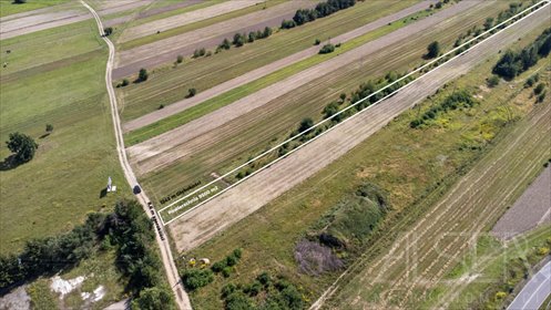 Sprzedam działkę inwestycyjną 9 500 m² w Trzciance działka Trzcianka