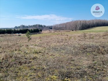 Działka budowlana na sprzedaż Biesówko, Biesówko 5 771m2 Foto 6