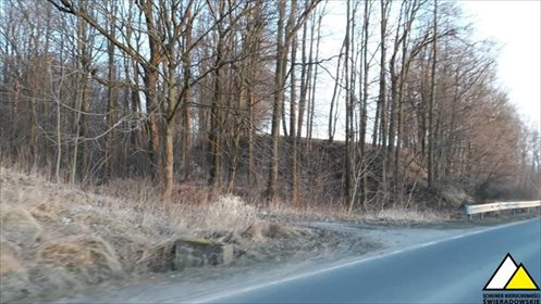Las na sprzedaż w Kościelnikach Górnych - polecam działka Kościelniki Górne, Pogórze Izerskie