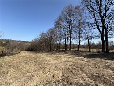 działka na sprzedaż 3971m2 działka Zarzyce Małe