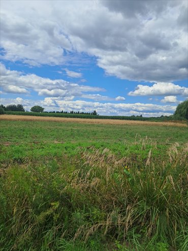 Polecam działki budowlane 875 m² w Żelazkowie z mediami i dojazdem asfaltowym działka Żelazków