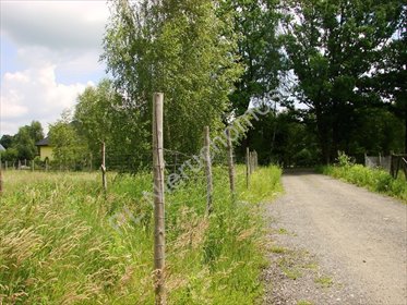 Działki Owczarnia 6355 m² z pozwoleniem na budowę polecam działka Owczarnia