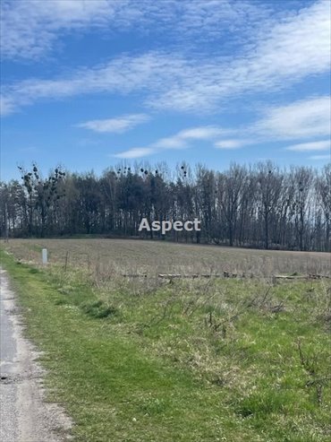 działka na sprzedaż 974m2 działka Turza Śląska
