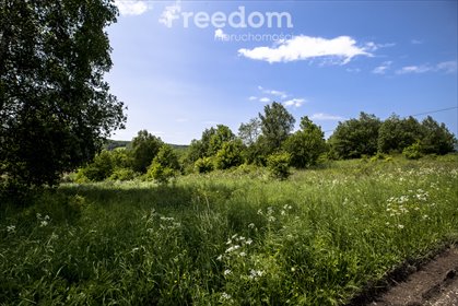 działka na sprzedaż 13800m2 działka Krzywe