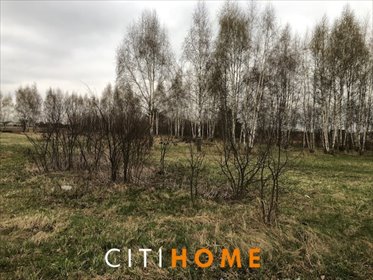 działka na wynajem 8200m2 działka Radwanków Szlachecki