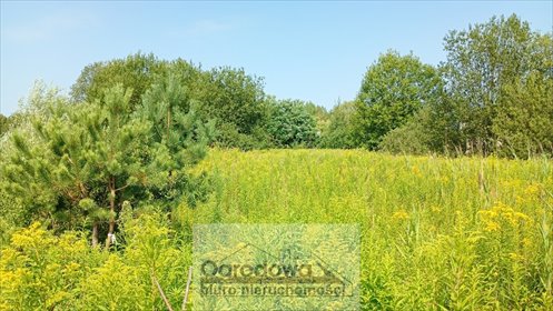 Działka 3088 m² w Kamionce, MPZP, las - polecam! działka Kamionka