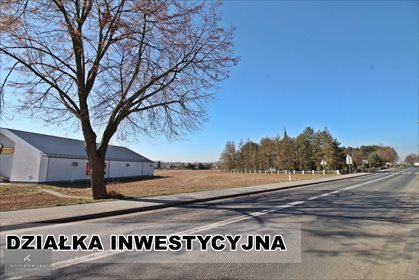 Polecam działkę inwestycyjną 20 277 m² w Domaszowicach działka Namysłów, Domaszowice