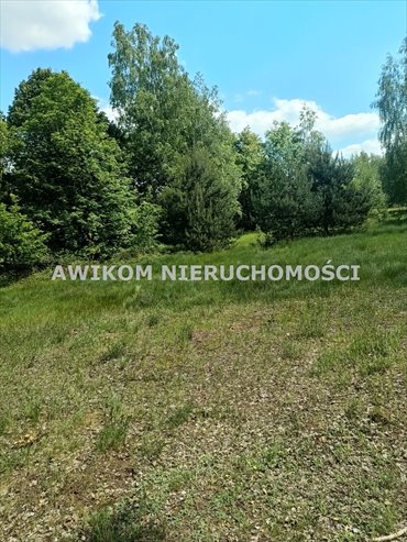 Działka 2,7 ha z warunkami zabudowy - zapraszam działka Słomków