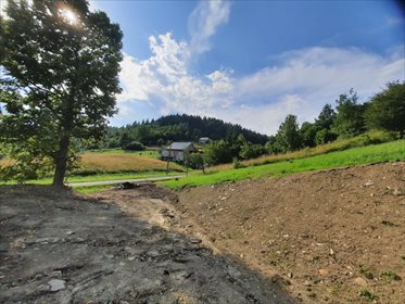 Działka budowlana na sprzedaż Pewel Ślemieńska 866m2 Foto 5
