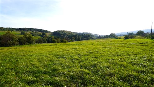 działka na sprzedaż 8222m2 działka Szymbark