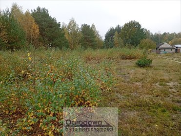 Działka 1353 m² z warunkami zabudowy - las i szybki dojazd działka Olesin