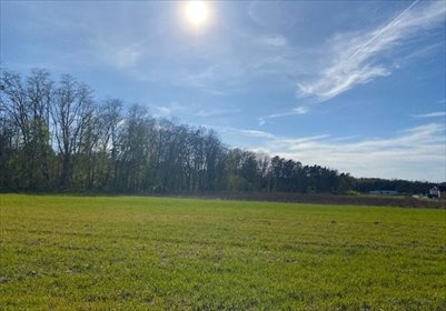 działka na sprzedaż 1597m2 działka Nowe Skalmierzyce, Śliwniki