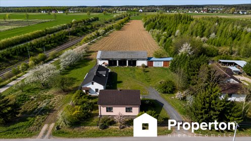 Gospodarstwo sadowniczo-ogrodnicze 6,86 ha w Franciszkowie - zapraszam działka Franciszków