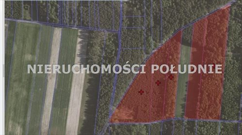 Działka budowlana na sprzedaż Lisów 75 554m2 Foto 1