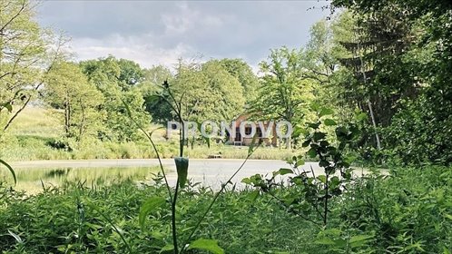 Zapraszam do unikalnej osady z widokami i stawem na Pojezierzu Drawskim dom Złocieniec
