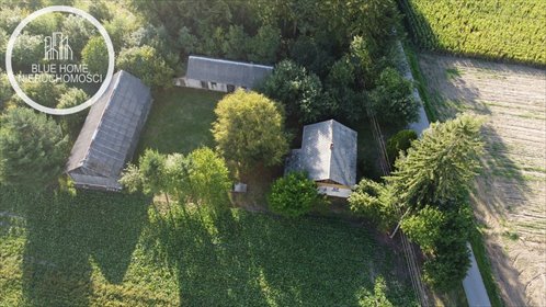 Urokliwe siedlisko 80 m² z dużą działką zapraszam dom Putnowice Wielkie