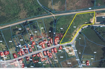 Sprzedam działkę 8088 m² w Szydłowie z możliwością podziału działka Szydłów
