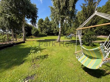 Polecam działkę 4869 m² z linią brzegową Obry i własnym lasem działka Uście