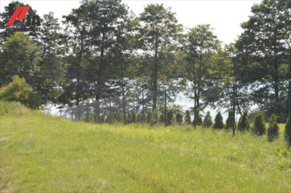 Działka rekreacyjna na sprzedaż Grójczyk 813m2 Foto 3